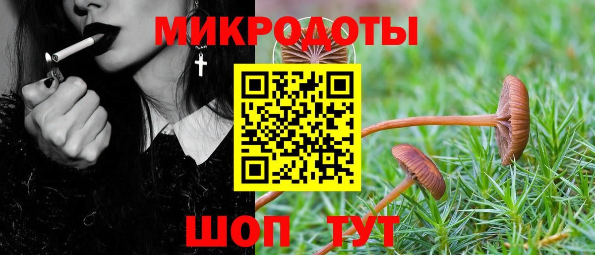 купить наркотик  Вход с VPN  Керчь  Псилоцибиновые грибы мухоморы 