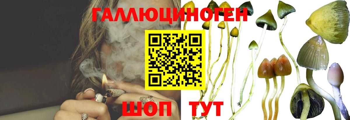 Псилоцибиновые грибы Cubensis Керчь